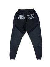 Load image into Gallery viewer, High stakes V2 "Paisley" pants