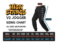 Load image into Gallery viewer, High stakes V2 "Paisley" pants